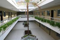 IMG_0472